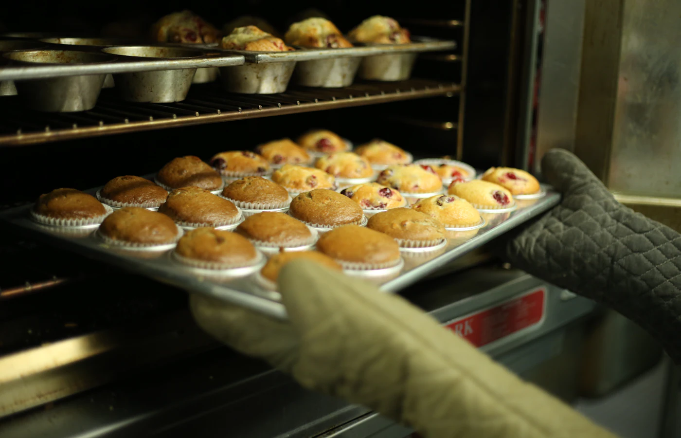 Fresh cupcakes coming out of the oven