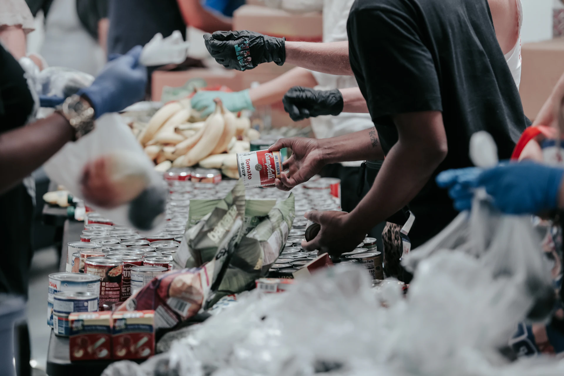 Volunteers sorting canned food donations on a long table