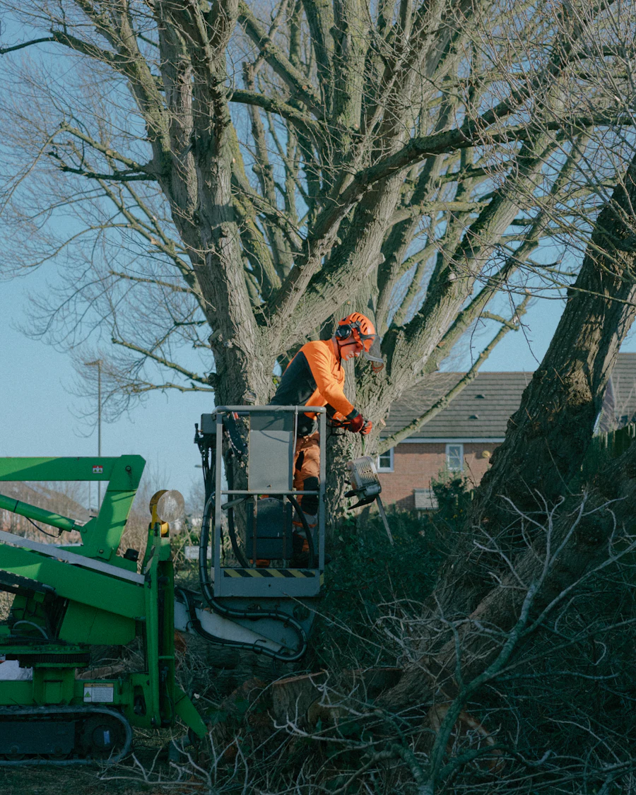 Arborist in a bucket lift trimming a damaged tree